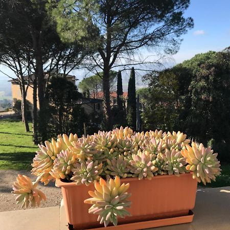 Villa Maria Collepepe Extérieur photo