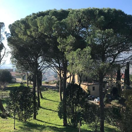 Villa Maria Collepepe Extérieur photo